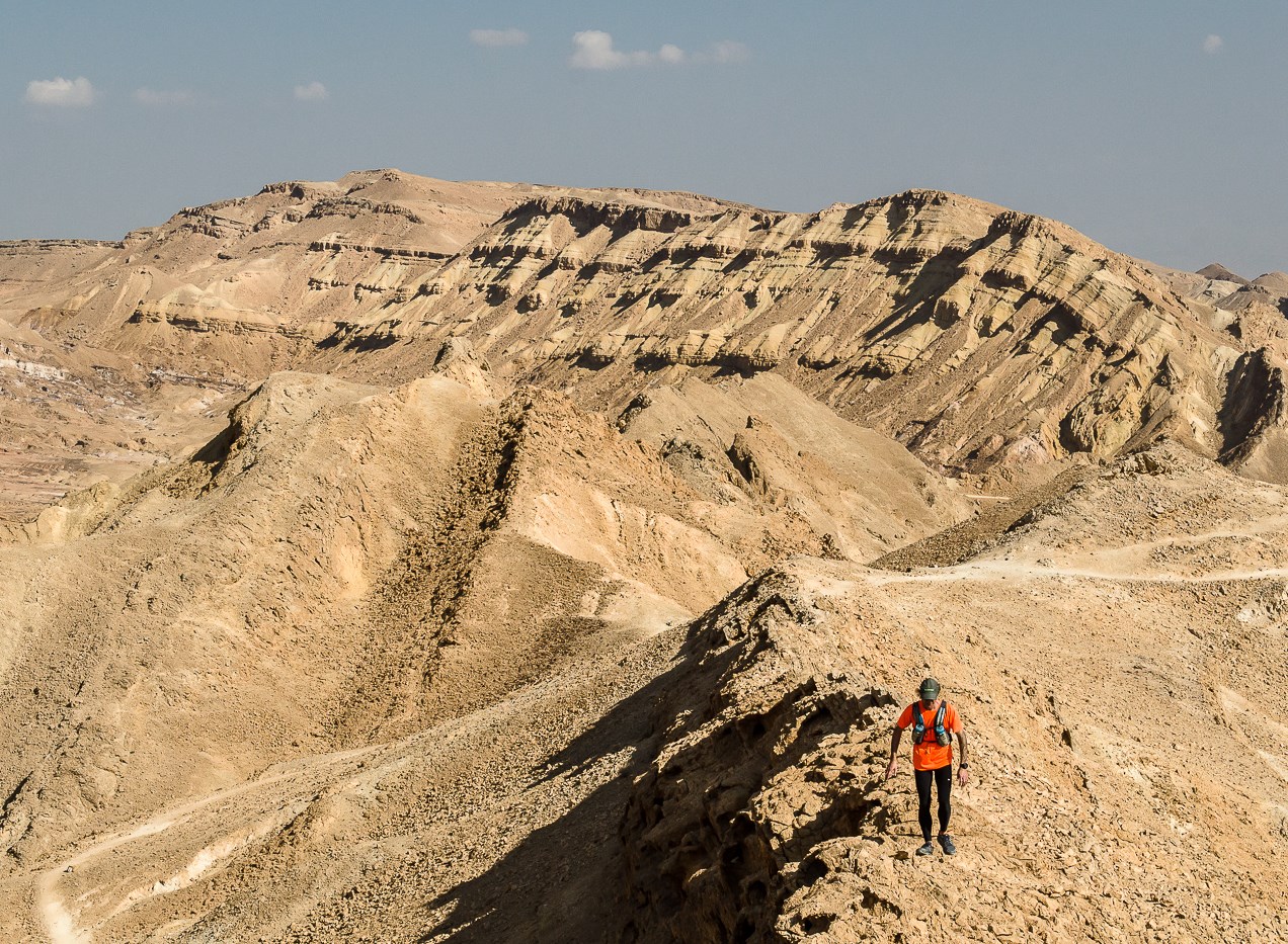 The Ramon Crater